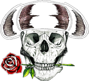 Matador